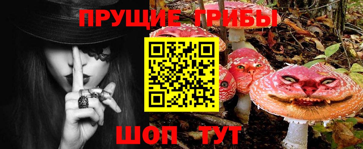 Моршанск  Галлюциногенные грибы MAGIC MUSHROOMS  купить   Галлюциногенные грибы ЛСД  Вход с VPN 
