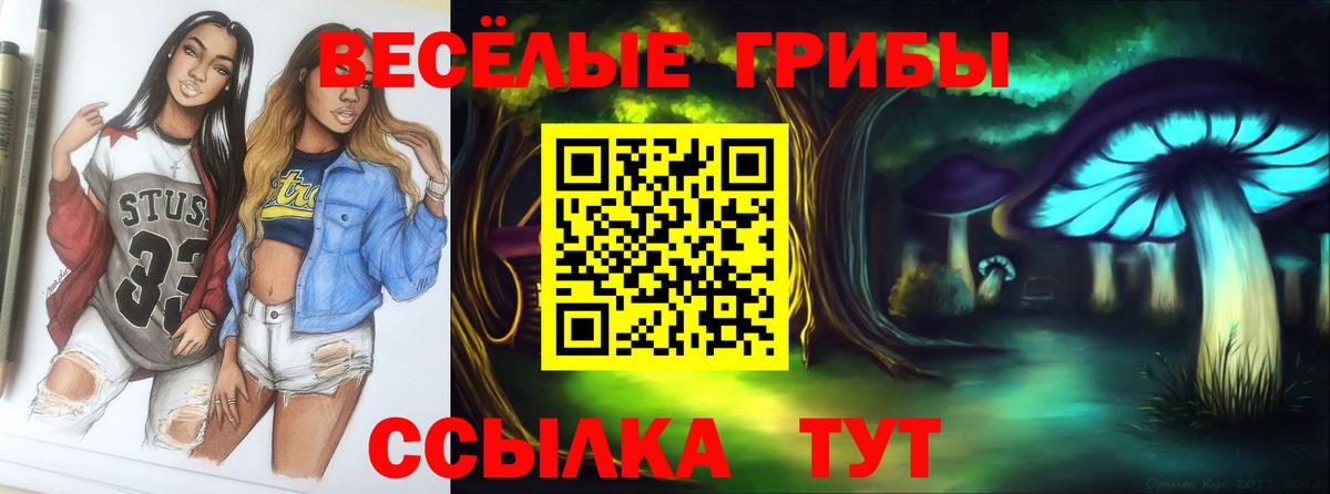 Галлюциногенные грибы Psilocybine cubensis Моршанск